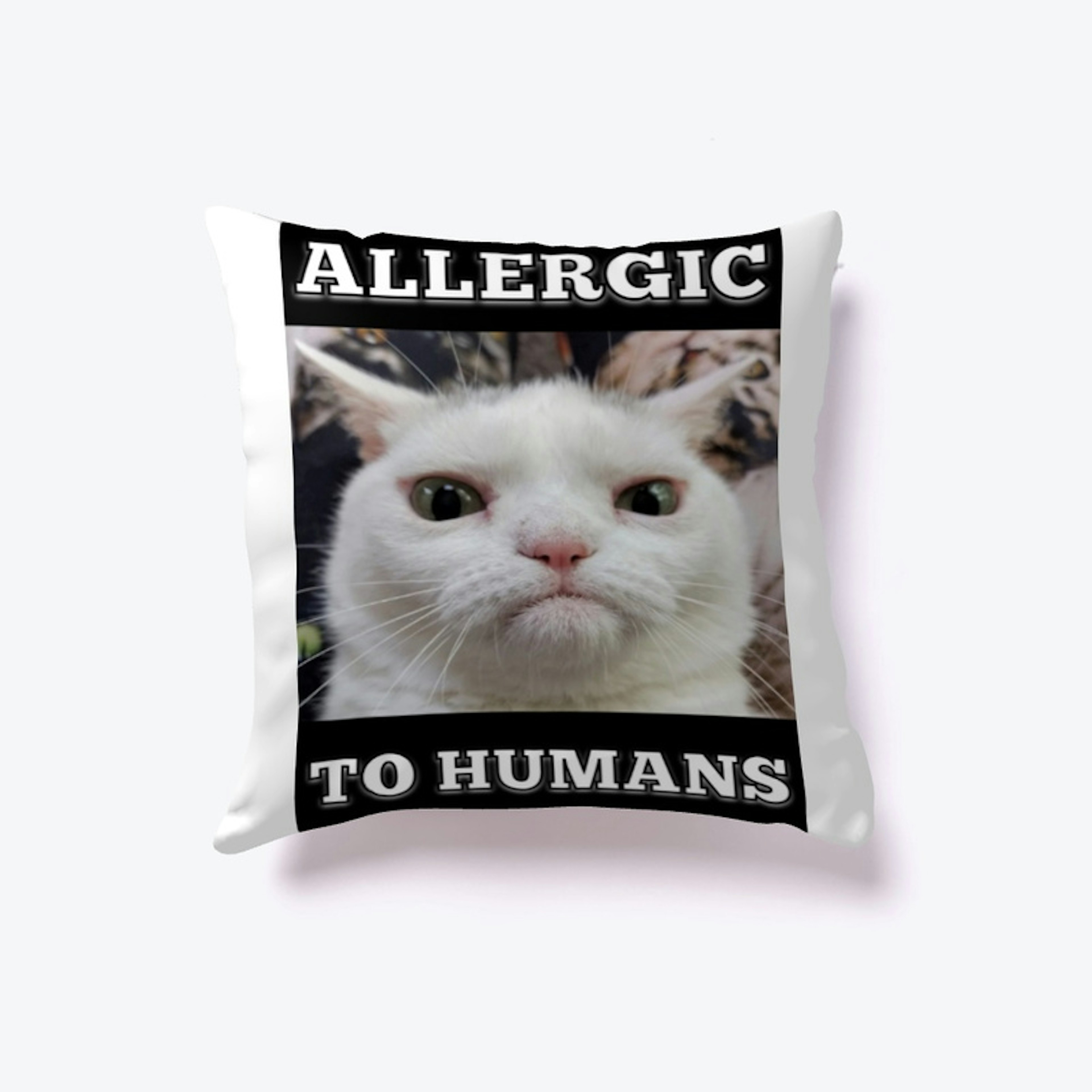 Allergic to Humans Pillow